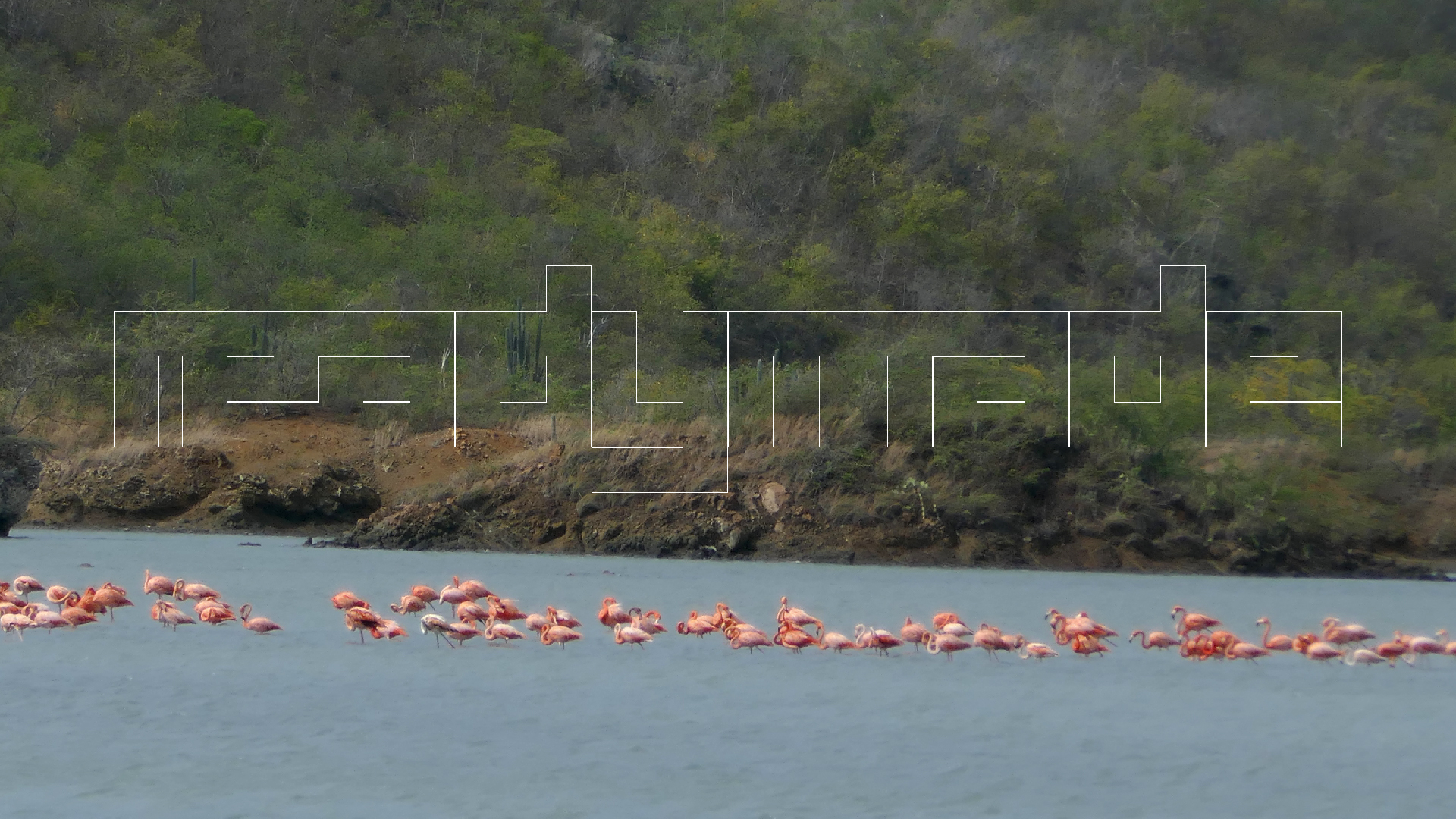 2022-04-18 Kokomo Beach und Flamingos (Foto)